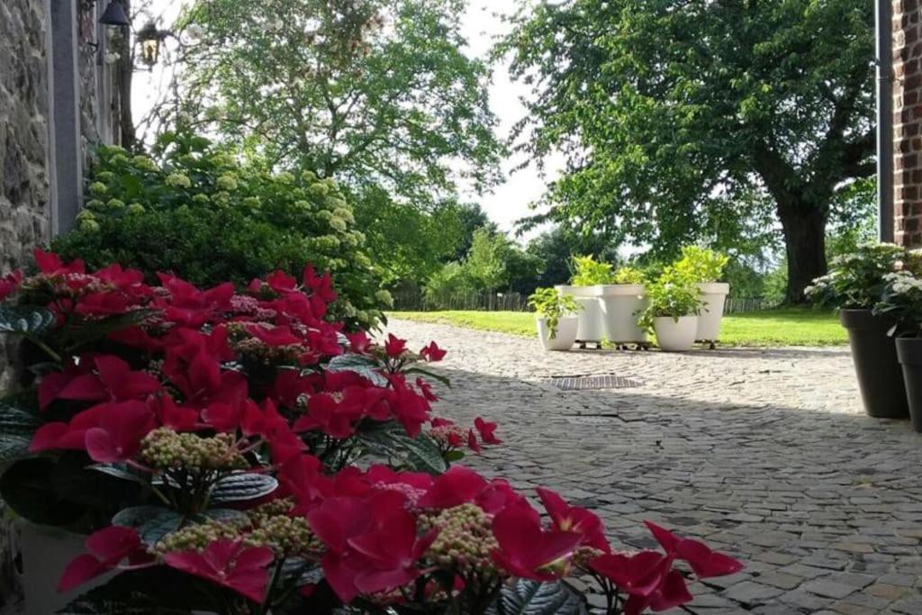 Country House Clos Des Hortensias Blegny Exterior foto